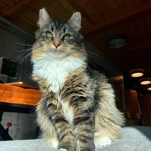 Meet your Posher, Erin